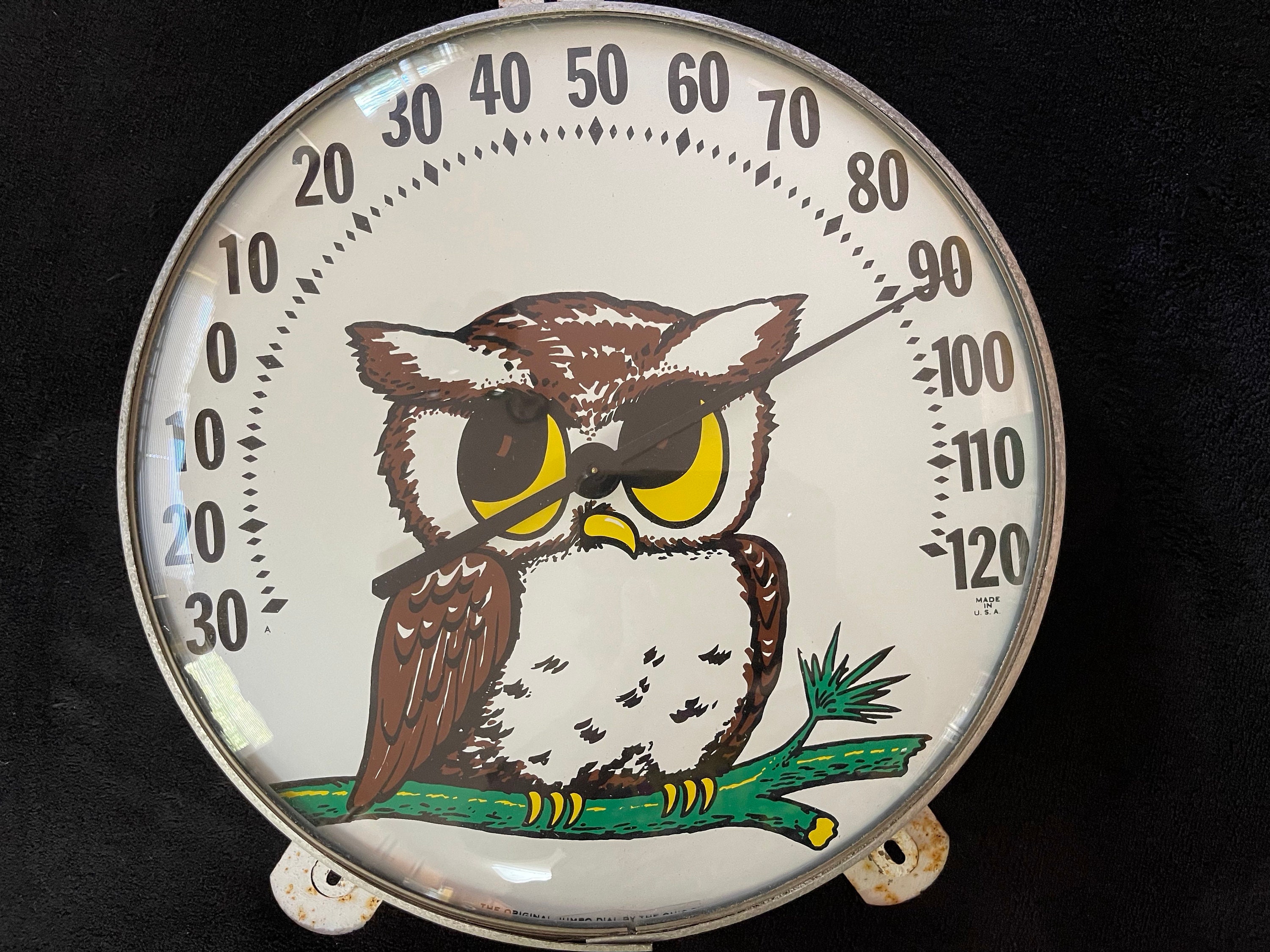 Loon Thermometer