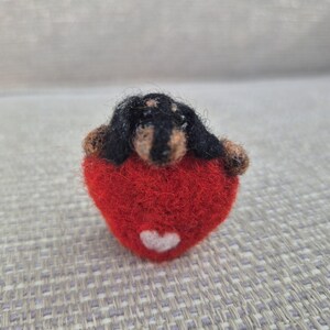 Dachshund gifts, needle felted Dachshund, miniature Sausage Dog,