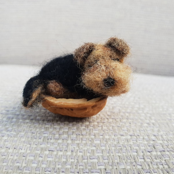 Miniatur Airedale Terrier, schlafender Airedale Terrier