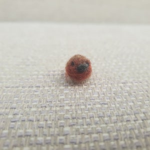 Micro Robin, needle felted Robin, doll house miniatures, miniature Bird image 2