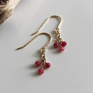 May include: A pair of gold dangle earrings with a cluster of small, red gemstone beads hanging from each earring.