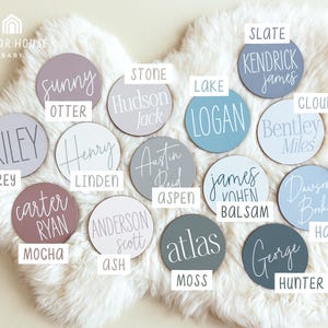 Op de afbeelding: Een verzameling van 16 ronde houten borden met verschillende namen en kleuren. De borden zijn in een cirkel op een wit, pluche oppervlak gerangschikt. De namen op de borden zijn Riley, Sunny, Otter, Stone, Hudson, Jack, Austin, Reid, Aspen, James, Vohens, Balsam, Dawson, Booker, Haze, George, Hunter, Kendrick, Logan, Bentley, Miles, Anderson, Scott, Carter, Ryan, Atlas en Kendrick.