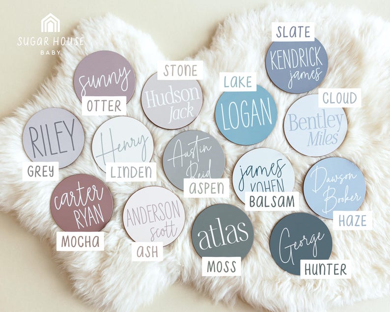 Op de afbeelding: Een verzameling van 16 ronde houten borden met verschillende namen en kleuren. De borden zijn in een cirkel op een wit, pluche oppervlak gerangschikt. De namen op de borden zijn Riley, Sunny, Otter, Stone, Hudson, Jack, Austin, Reid, Aspen, James, Vohens, Balsam, Dawson, Booker, Haze, George, Hunter, Kendrick, Logan, Bentley, Miles, Anderson, Scott, Carter, Ryan, Atlas en Kendrick.