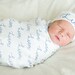 Personalized Baby Swaddle Blanket, Bow, or Hat with white background