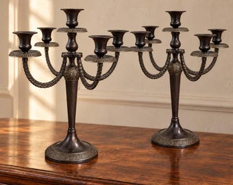 May include: Two dark bronze-toned metal candelabras, each featuring five candle holders arranged on curved, rope-textured arms. The central stems are tapered, supported by circular bases with intricate embossed floral patterns along the edges.