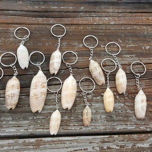 Puede incluir: Una colección de diez llaveros plateados con diferentes conchas marinas adjuntas. Las conchas son todas de color beige claro y tienen un acabado liso y pulido.