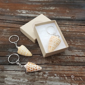 Puede incluir: Dos llaveros de concha con anillos de plata. Las conchas son cónicas y tienen un patrón moteado de color marrón claro y blanco.