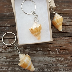 Puede incluir: Dos llaveros de concha con anillos de plata. Las conchas son de color marrón claro con marcas blancas. Los llaveros se muestran en una caja blanca con un fondo de madera marrón.