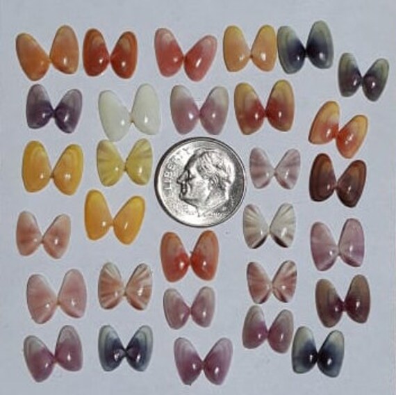 20 Tiny Coquina Shells Florida Gulf handpicked craft shells Etsy