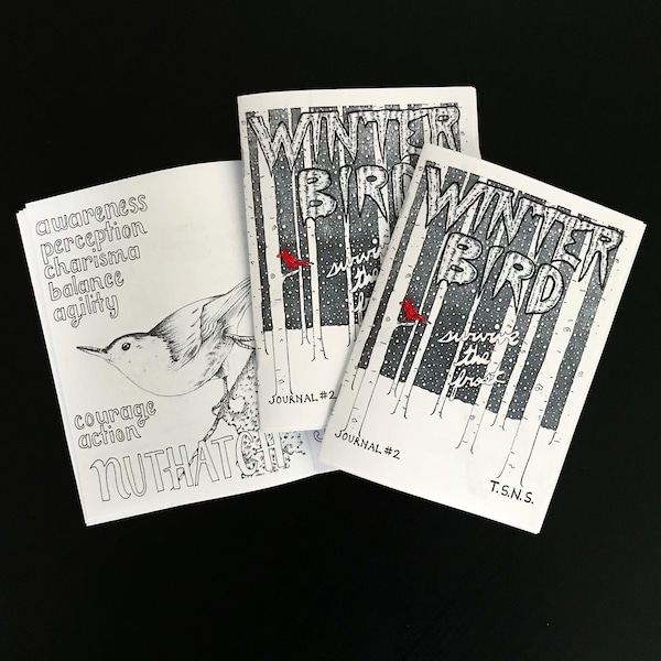 Winter Bird Mini Zine | Hand-drawn Art Zine | Mini Coloring Book | Zine Journal | Cold Weather Survival Zine | Original Bird Art