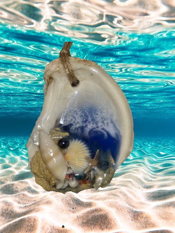 Oyster and Shell Ocean Christmas Ornaments, Free Shipping