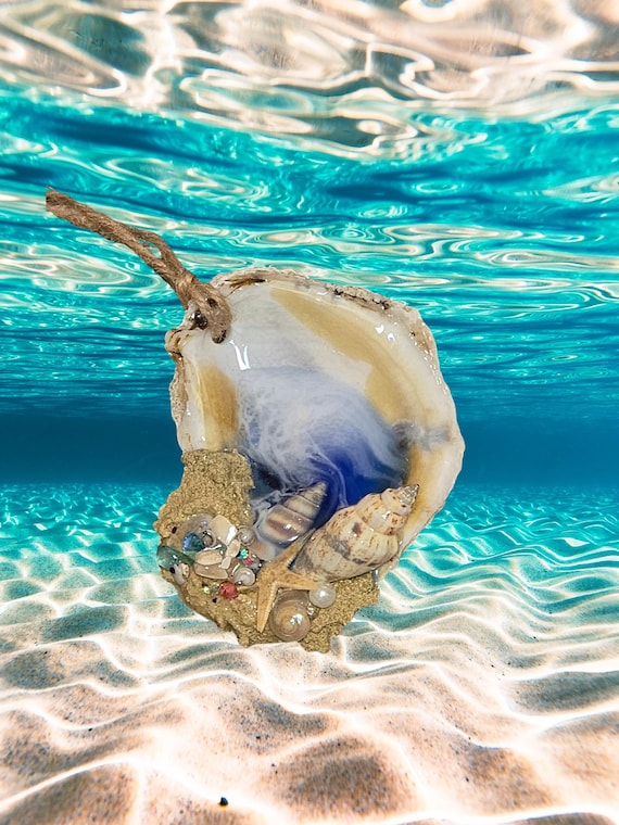 Oyster and Shell Ocean Christmas Ornaments, Free Shipping