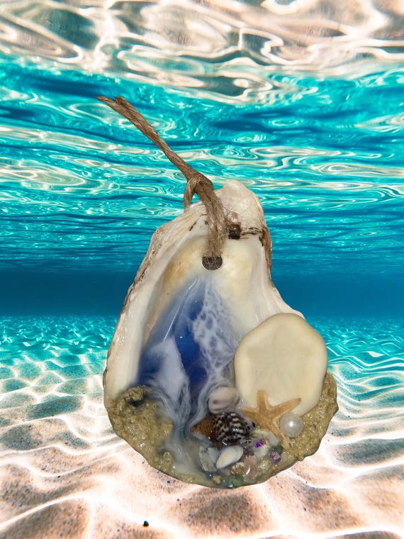 Oyster and Shell Ocean Christmas Ornaments, Free Shipping