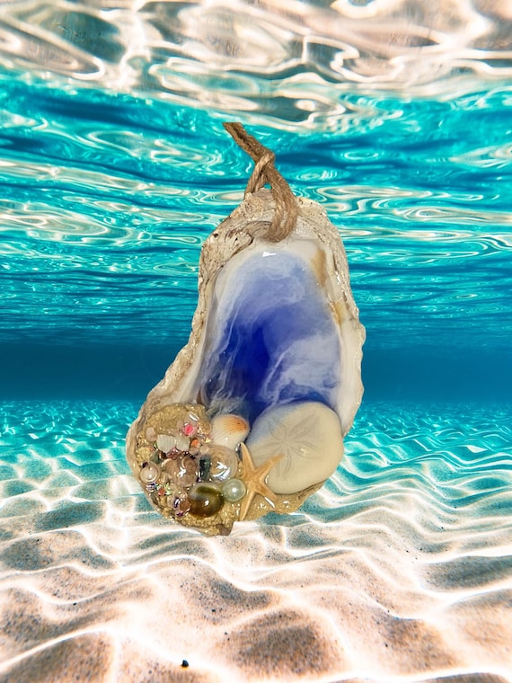 Oyster and Shell Ocean Christmas Ornaments, Free Shipping