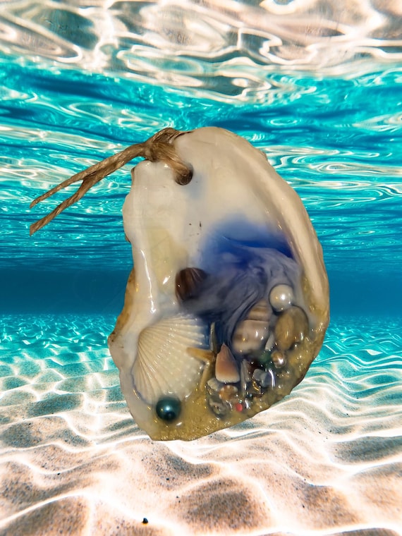 Oyster and Shell Ocean Christmas Ornaments, Free Shipping