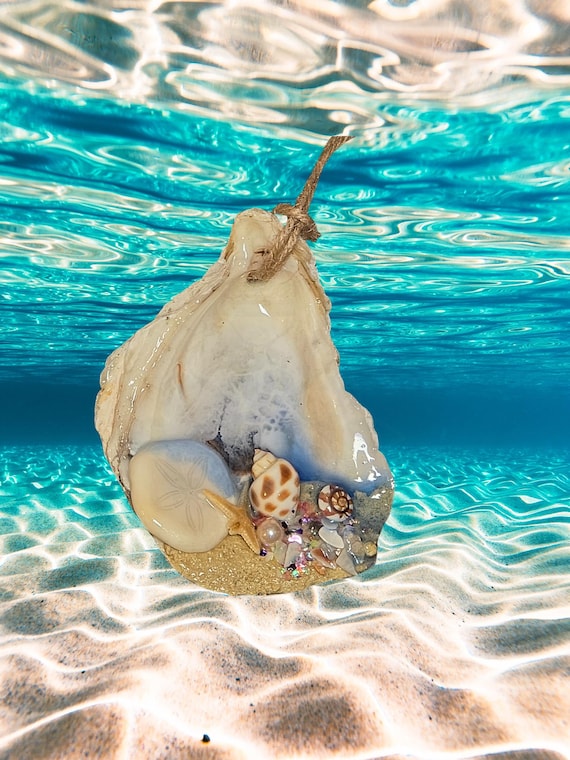 Oyster and Shell Ocean Christmas Ornaments, Free Shipping