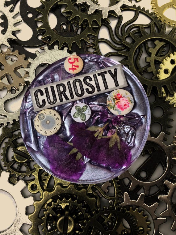 4 × 2 inch coaster Curiosity buttons dried flowers paperweight bumpers 2 inchs deep