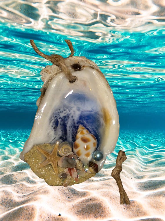 Oyster and Shell Ocean Christmas Ornaments, Free Shipping