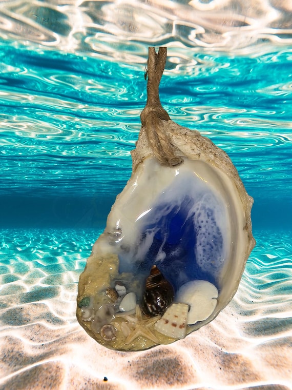 Oyster and Shell Ocean Christmas Ornaments, Free Shipping