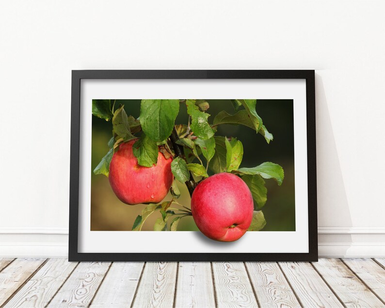 Red apple fruit decoration Apple wall art Kitchen wall art Etsy