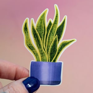以下が含まれることがあります： 青い鉢に入ったサンスベリアのステッカー。植物は緑と黄色の葉を持ち、背景はピンクとピーチのグラデーションです。