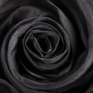 100% Silk Organza Fabric Black Fabric Multiple Remnants Upholstery Apparel Fabric Bridal Fabric Fashion Fabric Clothing Craft Supply