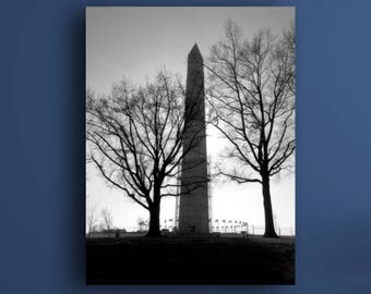 May include: A black and white photo of a tall monument with trees in the foreground, and a black and white photo of a Ferris wheel in the background. The photos are framed and hanging on a blue wall above a white dresser with yellow and orange drawers.