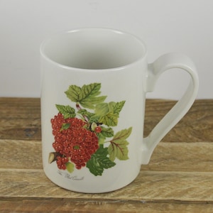 Portmeirion POMONA 12 oz Mug, White with The Red Currant Graphic, Made in England, 4&quot;