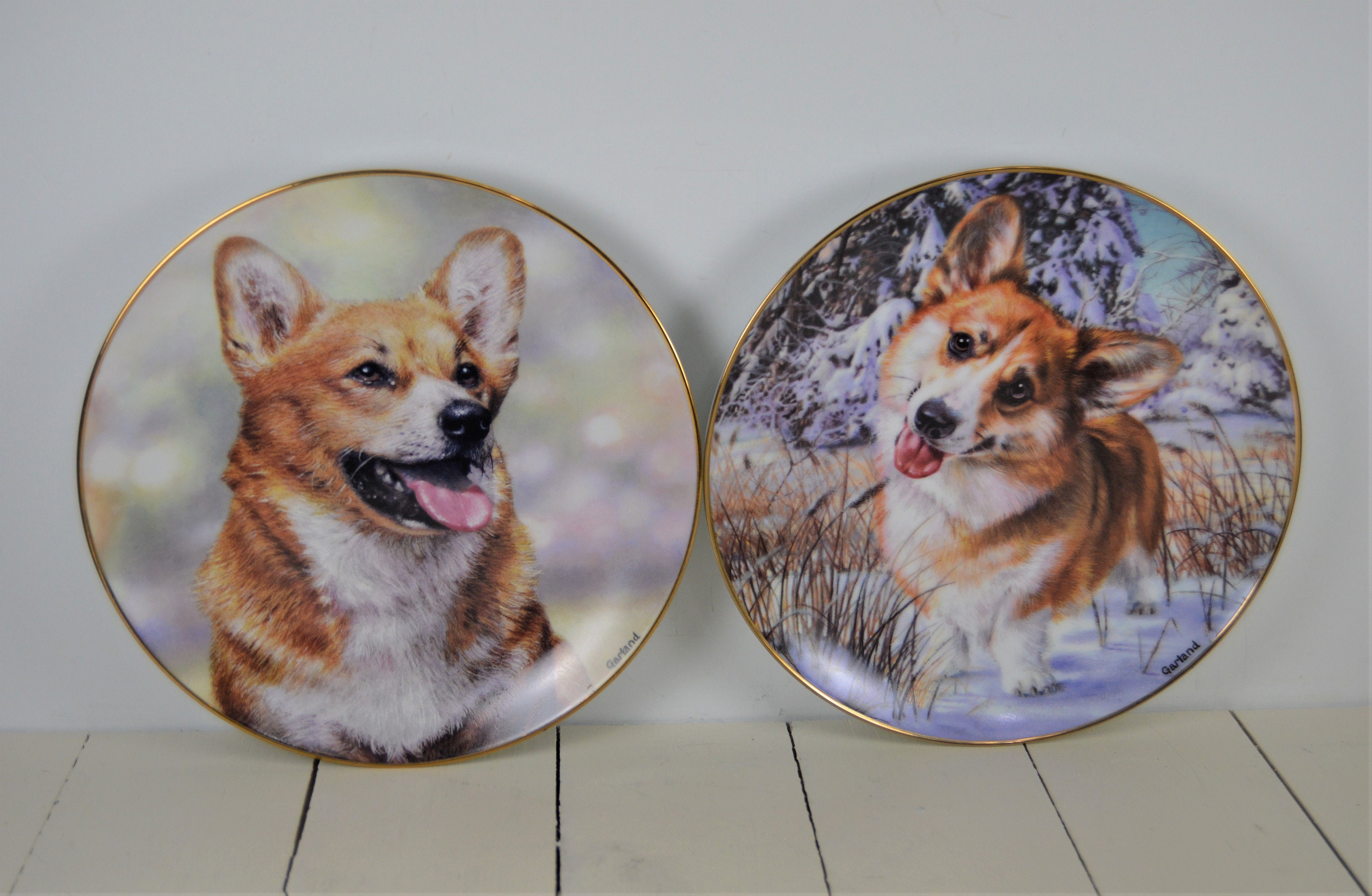 corgi plates