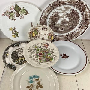 May include: A collection of vintage decorative plates with various patterns. The plates feature floral, landscape, and fruit designs in colors like brown, white, and blue. Some plates have scalloped edges, while others have a simple rim.