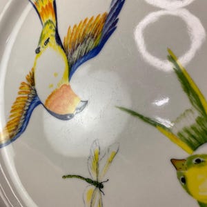 May include: White ceramic plate with colorful bird and dragonfly illustrations. The birds feature yellow, orange, and blue feathers. A dragonfly with yellow wings is also depicted. The plate has a slightly textured surface.