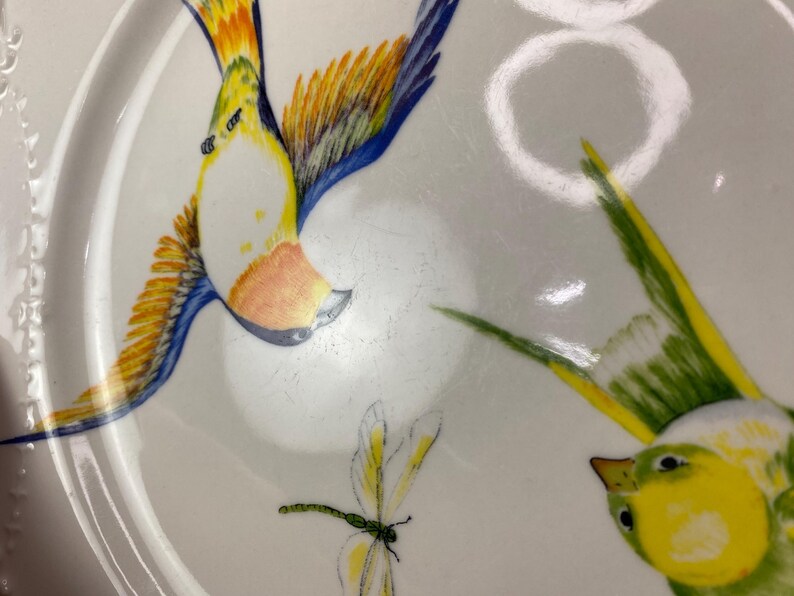 May include: White ceramic plate with colorful bird and dragonfly illustrations. The birds feature yellow, orange, and blue feathers. A dragonfly with yellow wings is also depicted. The plate has a slightly textured surface.