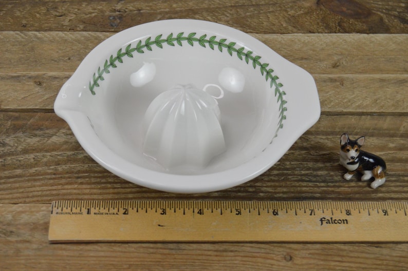 May include: White ceramic citrus juicer with a green leaf design around the rim. The juicer has a small, white, ridged cone in the center.