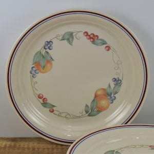 May include: A set of two cream-colored ceramic dinner plates with a red and blue rim. The plates feature a decorative design of fruit and vines in shades of orange, red, blue, and green.