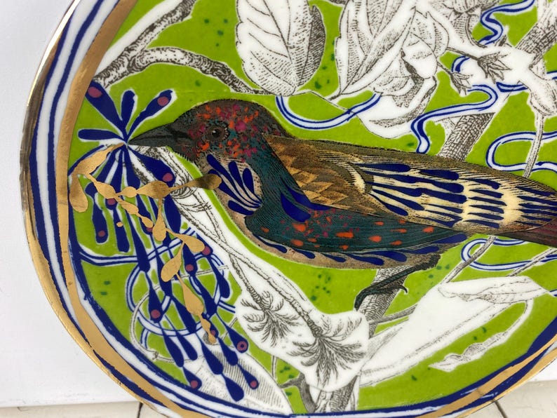 K&ouml;nnte beinhalten: Dekorative Keramikplatte mit einer detaillierten Illustration eines Vogels auf einem Ast. Die Platte hat einen leuchtend gr&uuml;nen Hintergrund mit blauen und goldenen Akzenten. Der Vogel hat braunes, blaues und rotes Gefieder, und der Rand ist mit Gold verziert.