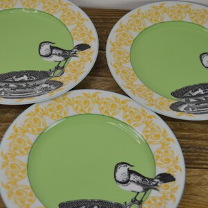 K&ouml;nnte beinhalten: Drei gr&uuml;ne und wei&szlig;e Keramikteller mit gelbem Rand. Jeder Teller zeigt eine Schwarzwei&szlig;illustration eines Vogels und einer Teetasse.
