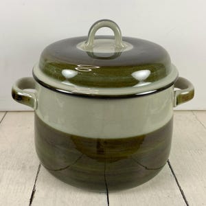 May include: A ceramic cooking pot with a lid. The pot is primarily green with a light green band in the middle and a dark green base. It has two side handles and a loop handle on the lid.