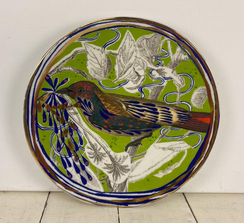 K&ouml;nnte beinhalten: Dekorative Keramikplatte mit einem leuchtend gr&uuml;nen Hintergrund und einer detaillierten Illustration eines Vogels auf einem Ast. Der Vogel hat braunes, rotes und blaues Gefieder. Die Platte hat einen goldenen Rand, einen blau-wei&szlig;en Rand und einen Durchmesser von ca. 25 cm.