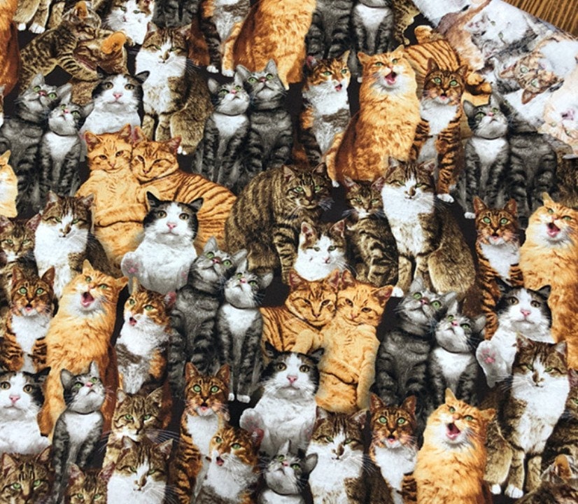Real Cat Pattern Cotton Fabric Kittens Print Fabric Kitty Etsy