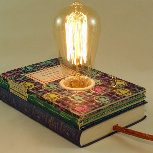 Poetry of everyday life upcycled book lamp booklight booklamp