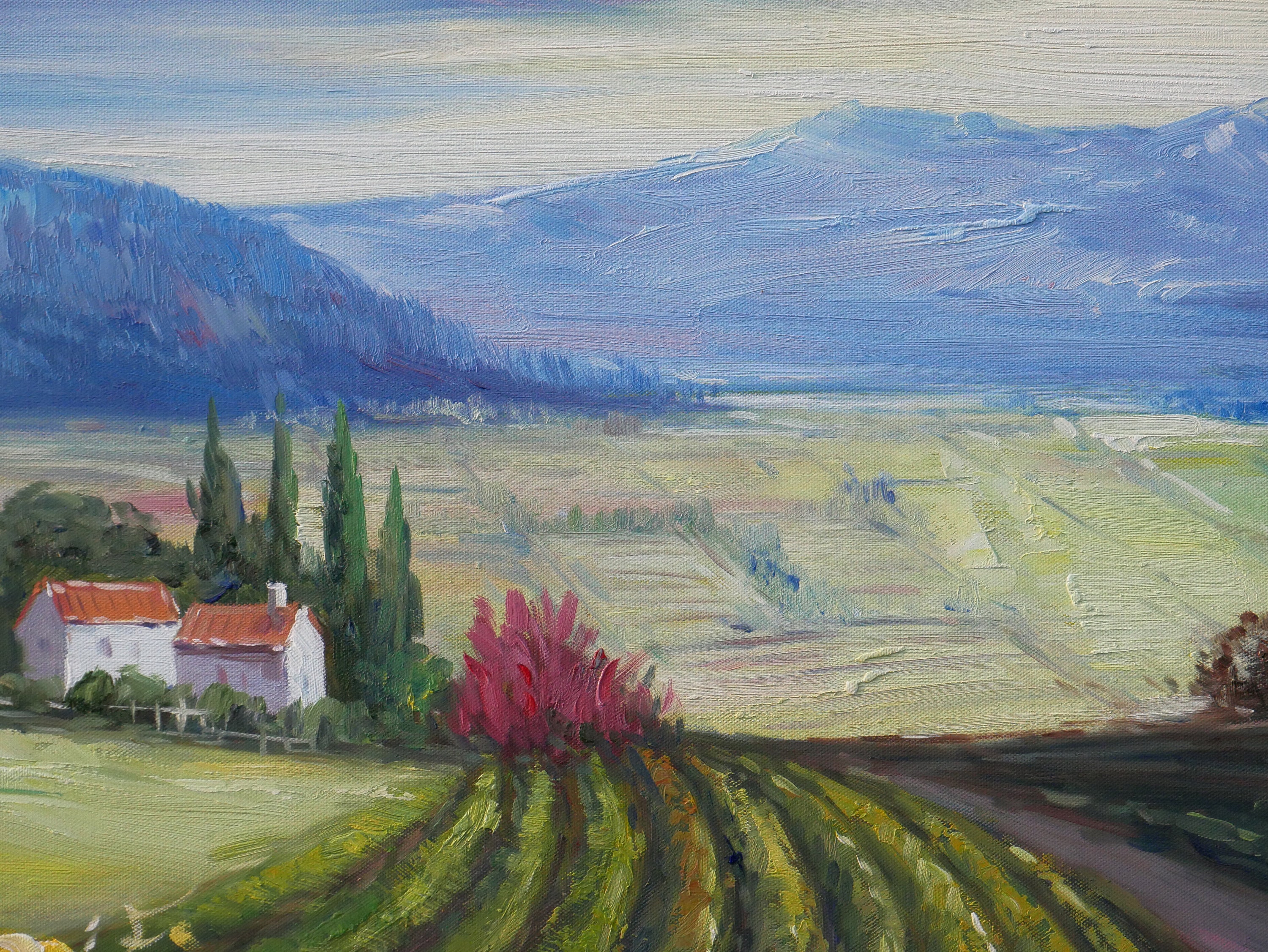 Vineyard Oil Painting Napa Valley Sonoma Valley Decor on Canvas Wall Art