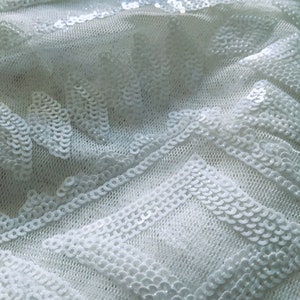 White Sequin on Creamy White Netting