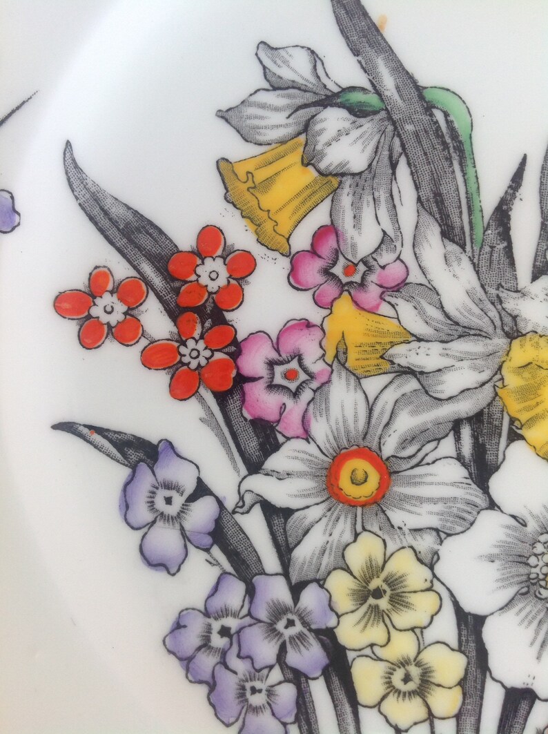 Plate By Victoria for Cartwright and Edwards England Rare and collectible great gift for her Vintage collectible Hand finished Daffodil