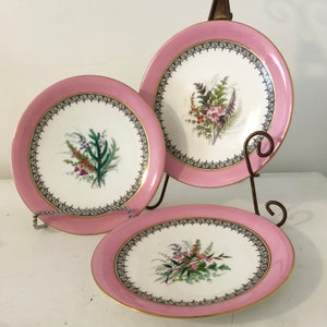 Antique Royal Worcester Dessert Plates: Pink Rim, Botanical Decor, England (Set of 3)