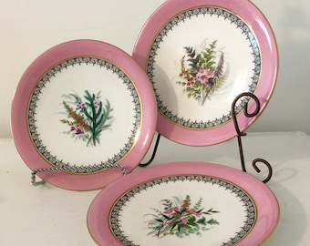 Pink Rimmed Plates,  Antique Royal Worcester, Botanical Center, Dessert Set, Fine Bone China ,Made England, home decor,Barbie pink