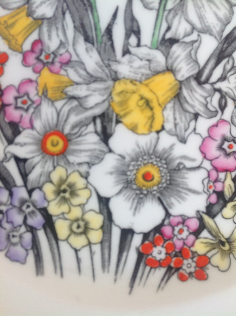 Plate By Victoria for Cartwright and Edwards England Rare and collectible great gift for her Vintage collectible Hand finished Daffodil