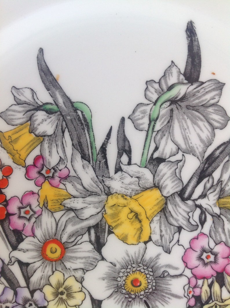 Plate By Victoria for Cartwright and Edwards England Rare and collectible great gift for her Vintage collectible Hand finished Daffodil