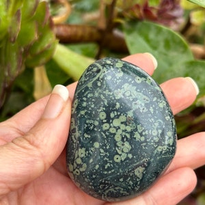 Jaspe kambaba, jaspe cocodrilo, piedra de jaspe natural. Decoración del hogar, piedra de protección.