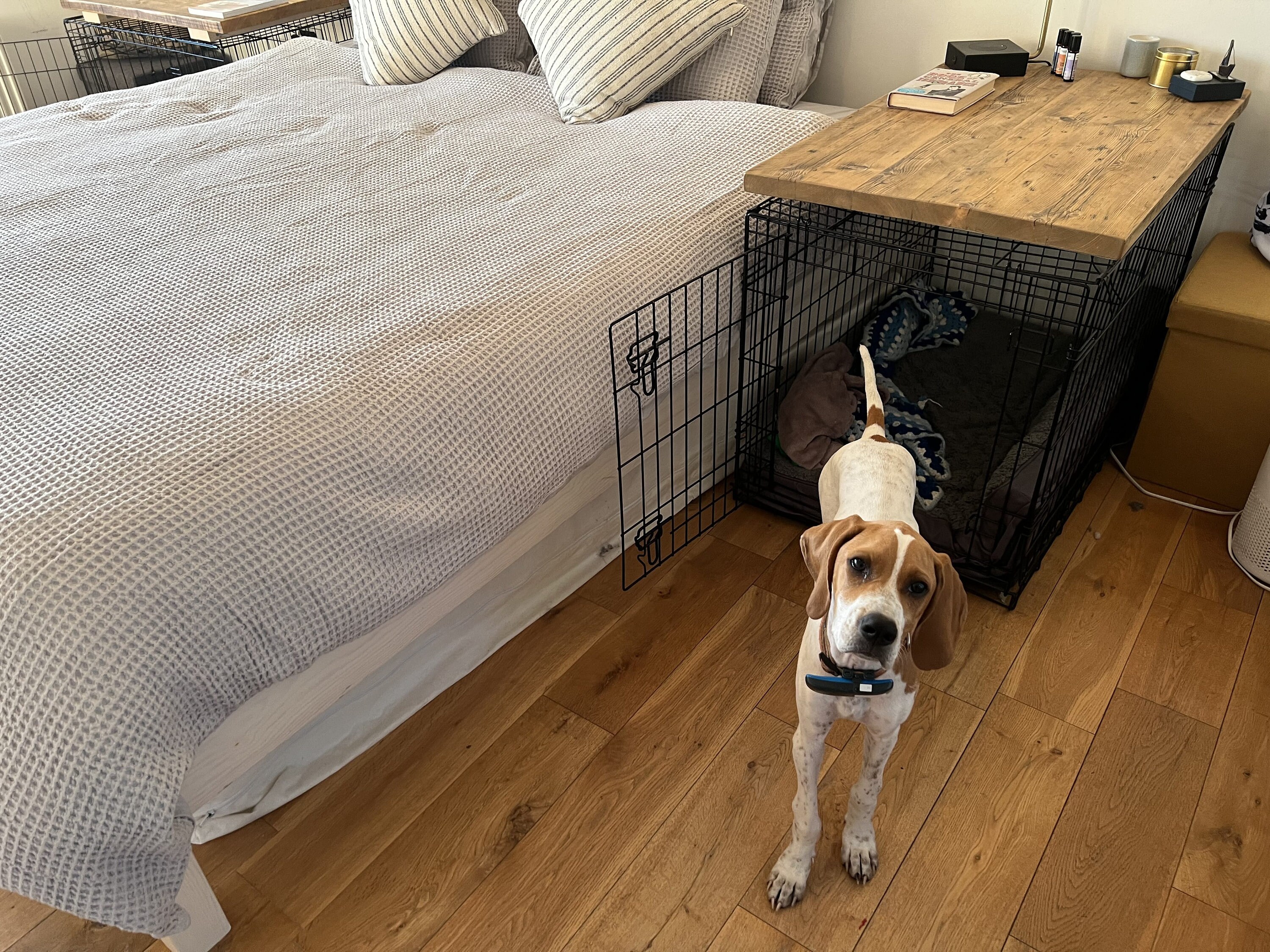 Rustic Wooden Dog Crate Topper Dog Keel Wood Table Top Etsy UK