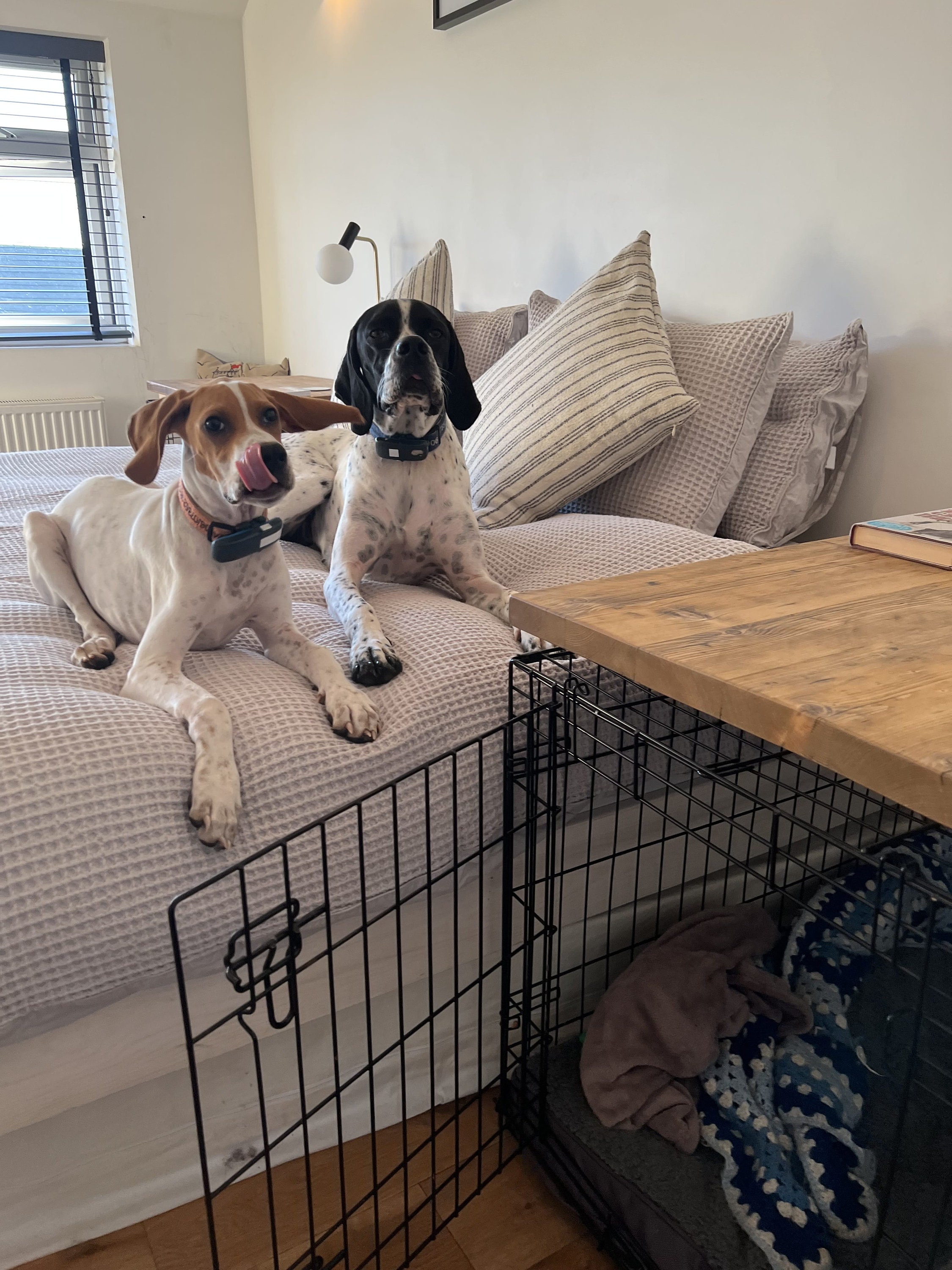 Rustic Wooden Dog Crate Topper Dog Keel Wood Table Top Etsy UK